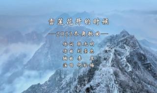 雪莲姑娘雪莲花一样是什么歌曲的词